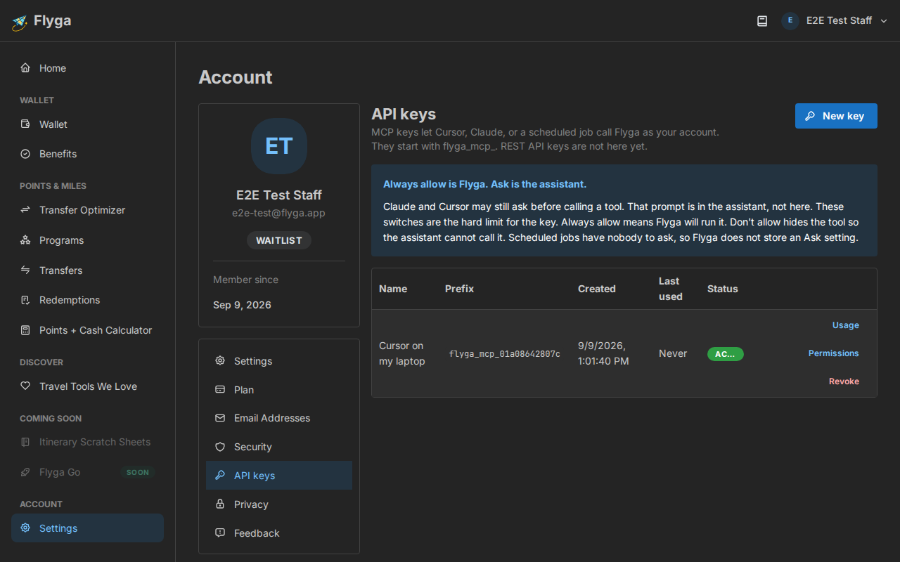 Account API keys page with the MCP keys list
