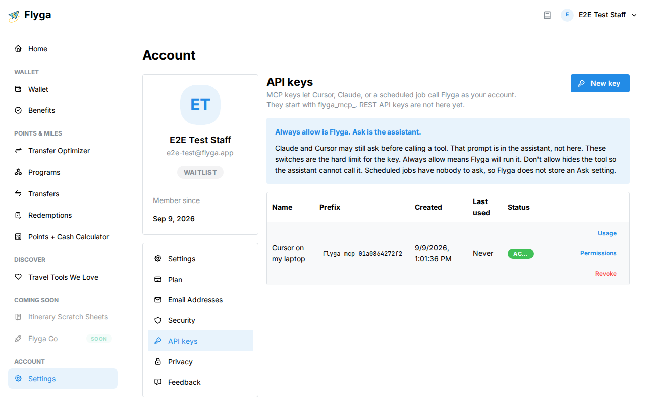 Account API keys page with the MCP keys list